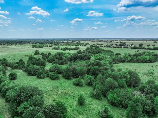 a view of a bunch of trees