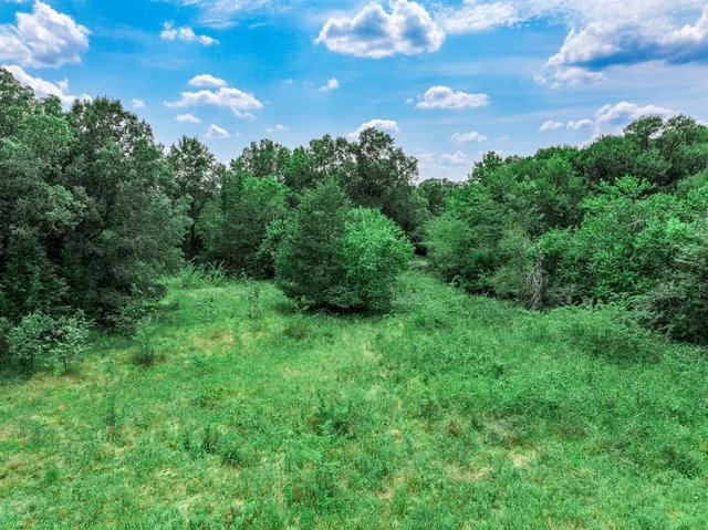 a view of a golf course with a tree
