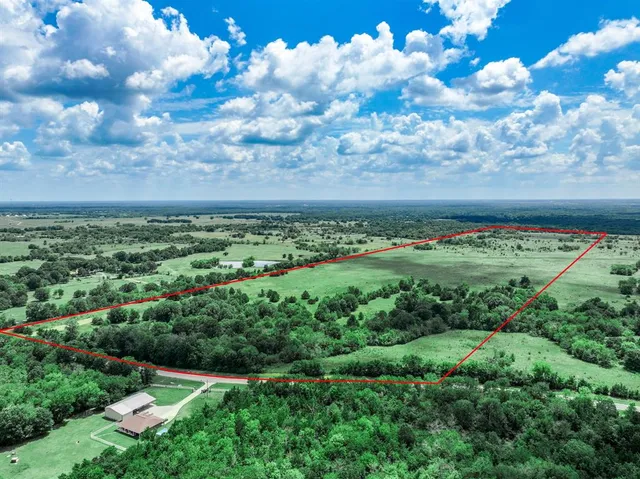 a view of a bunch of trees and bushes