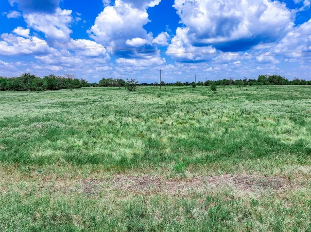 a view of a big yard with lots of green space