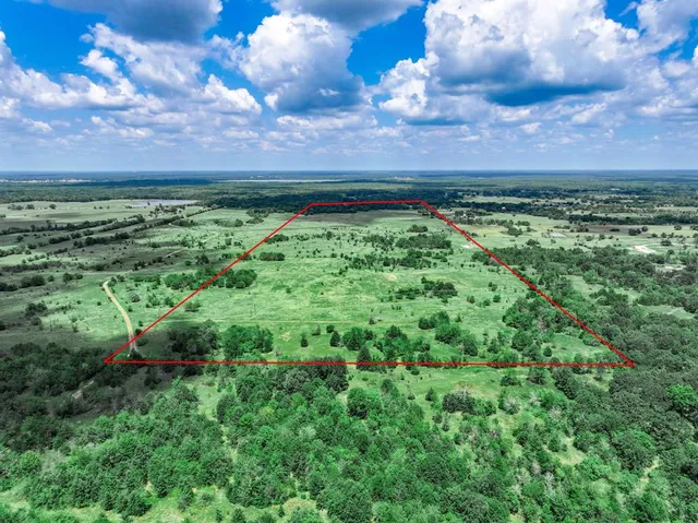 a view of a yard with plants and a trees
