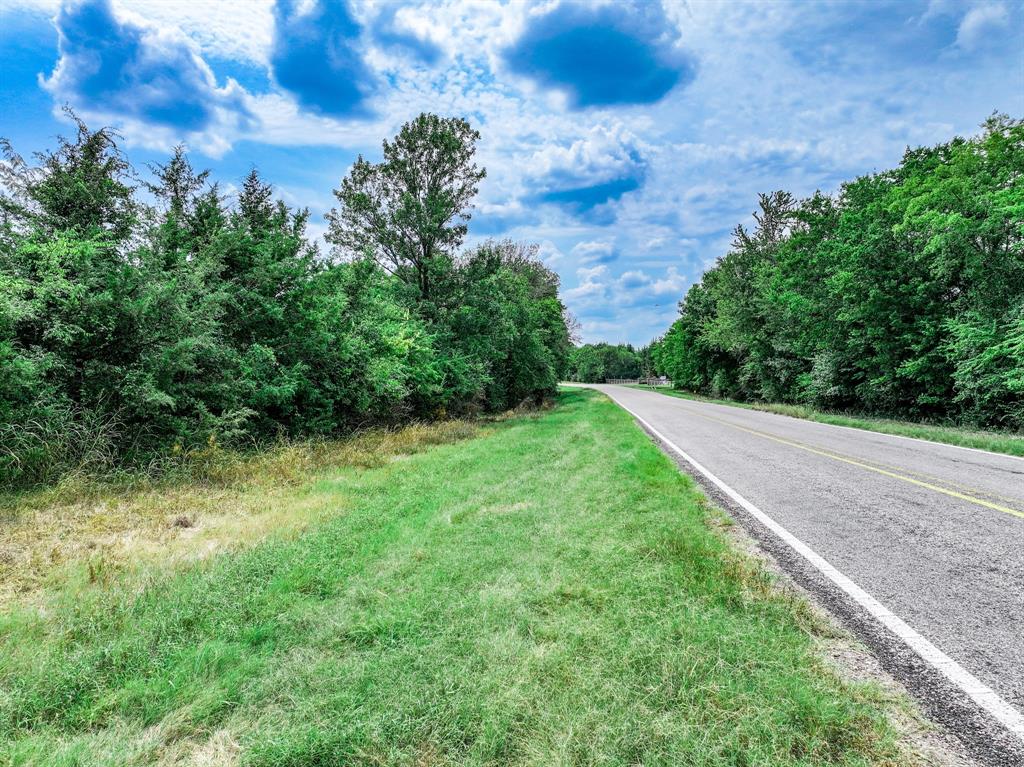 0 Fm 71 Highway Talco, TX 75487 - Photo 8 of 29 a view of a yard with plants and a trees