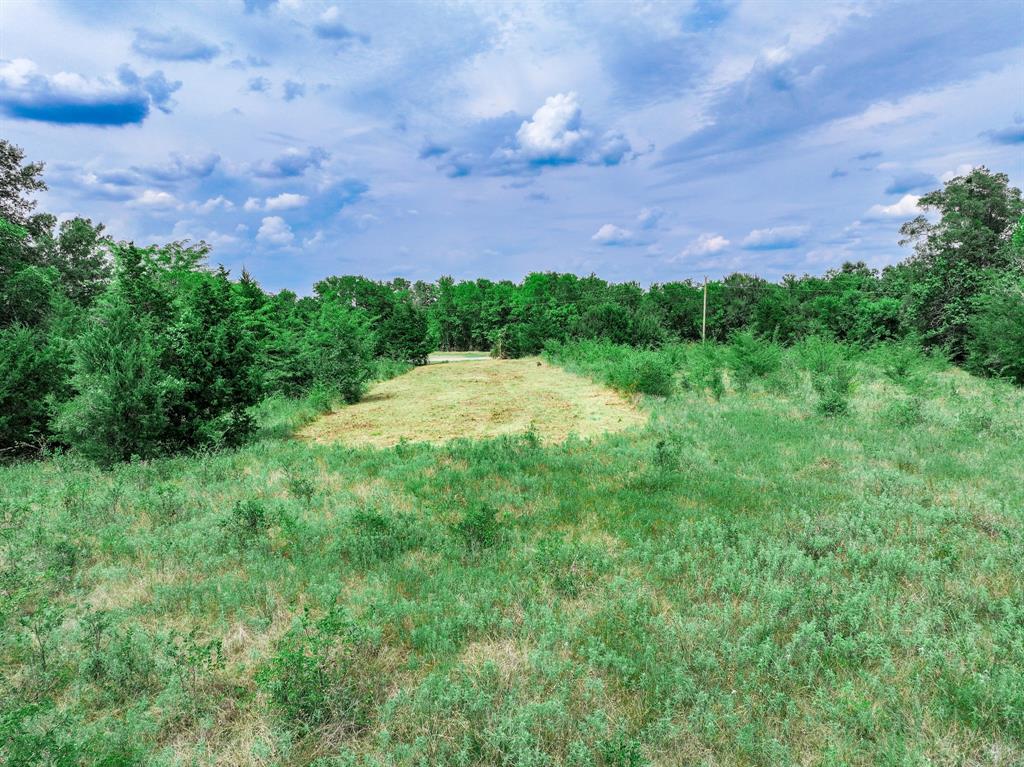 0 Fm 71 Highway Talco, TX 75487 - Photo 10 of 29 a view of a yard with an outdoor space and porch