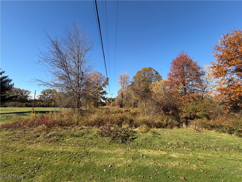 Capel Road Grafton, OH 44044 - Photo 5 of 7 View of grassy yard