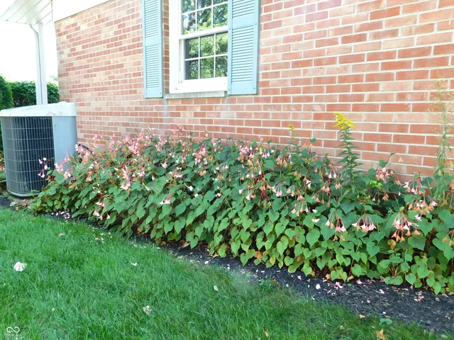 $299,000 | 1003 North East Street, Greensburg, IN 47240