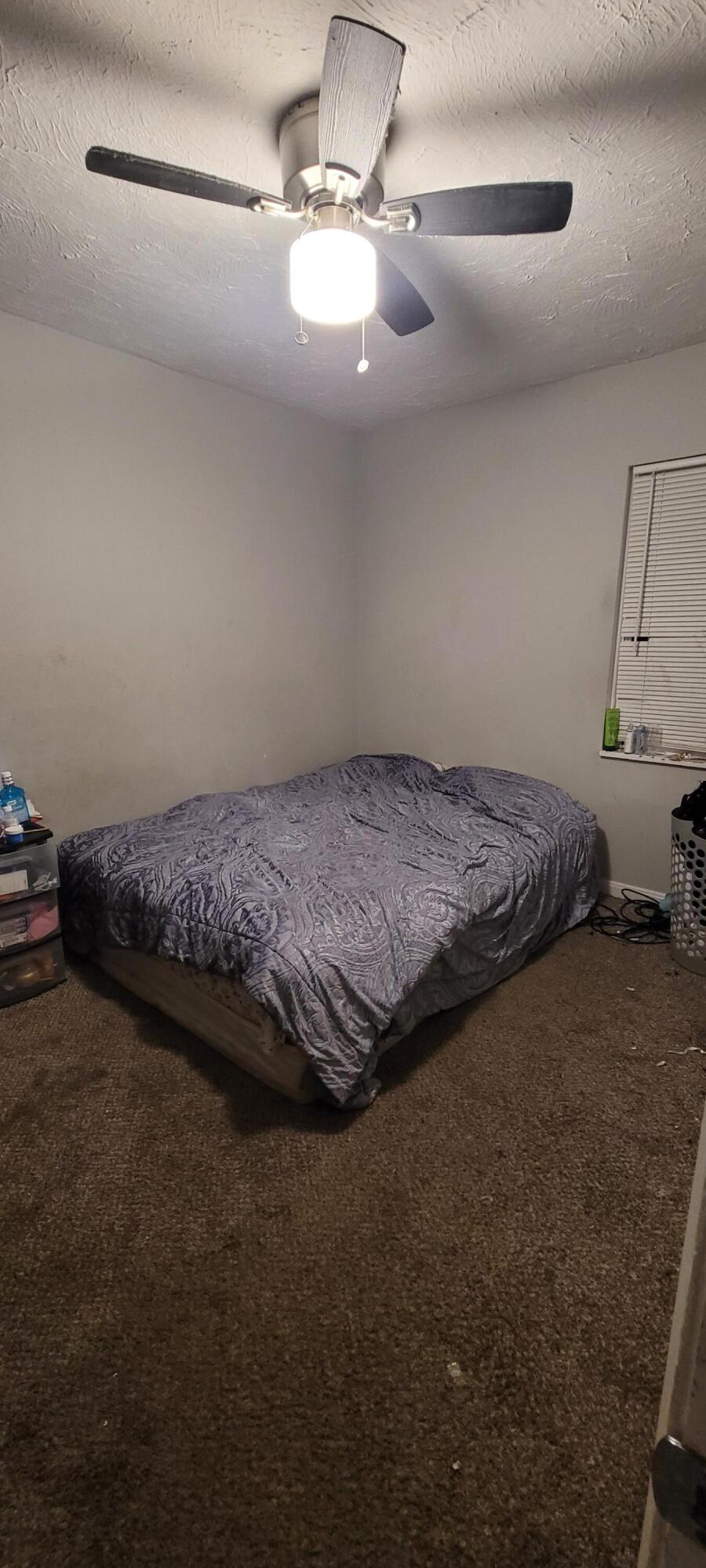 4115 Outer Drive East Detroit, MI 48234 - Photo 11 of 27 Main Floor Bedroom 1