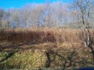 Kamerer Road Chicora, PA 16025 - Photo 3 of 7 Other.