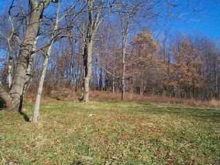 Kamerer Road Chicora, PA 16025 - Photo 6 of 7 Other.