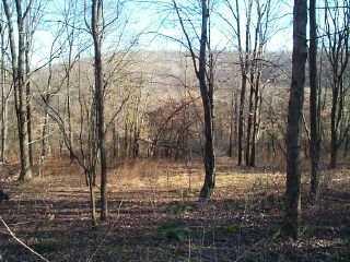 Kamerer Road Chicora, PA 16025 - Photo 7 of 7 Other.