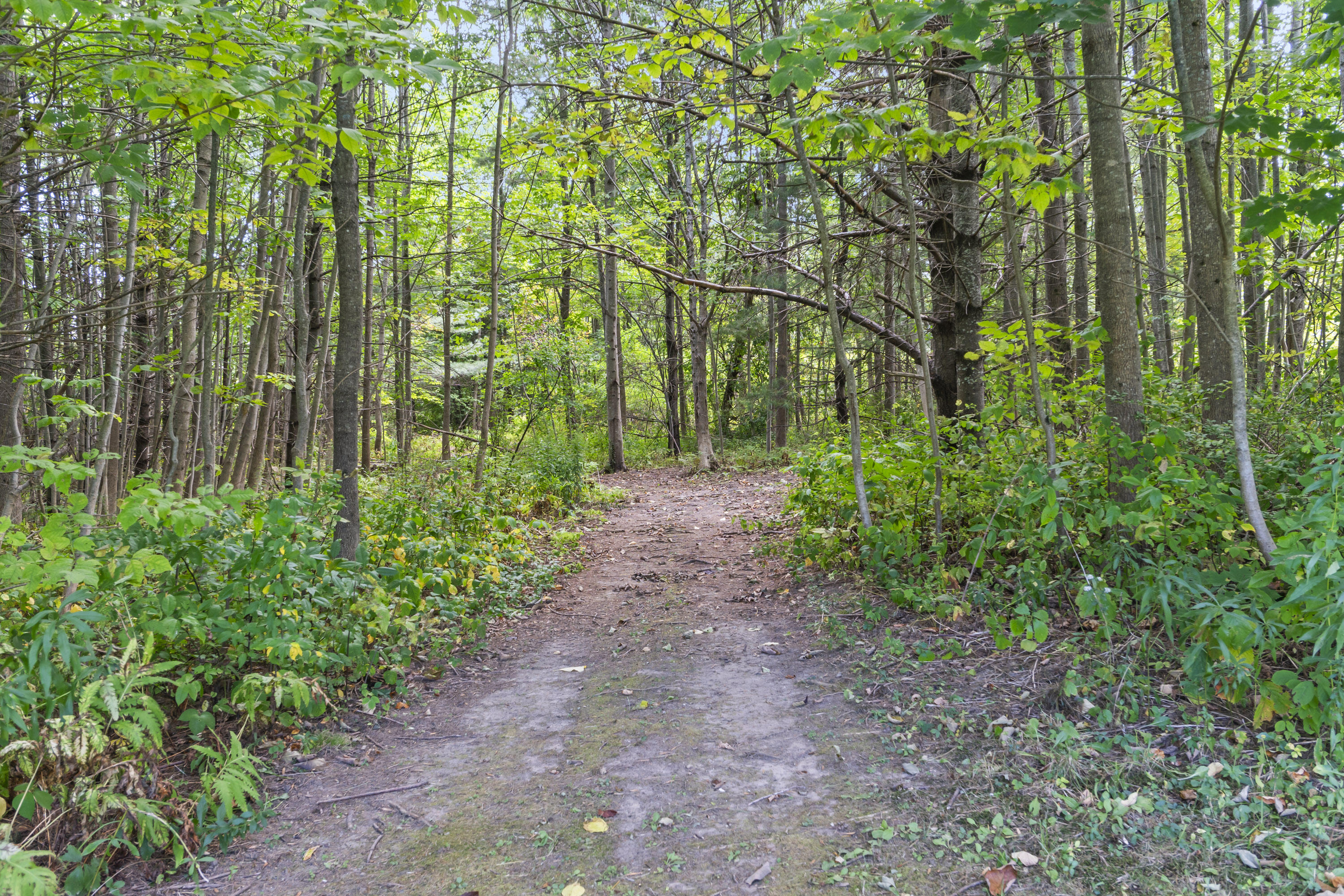 1536 Main Street Readfield, ME 04355 - Photo 45 of 53 1536 Main St_163