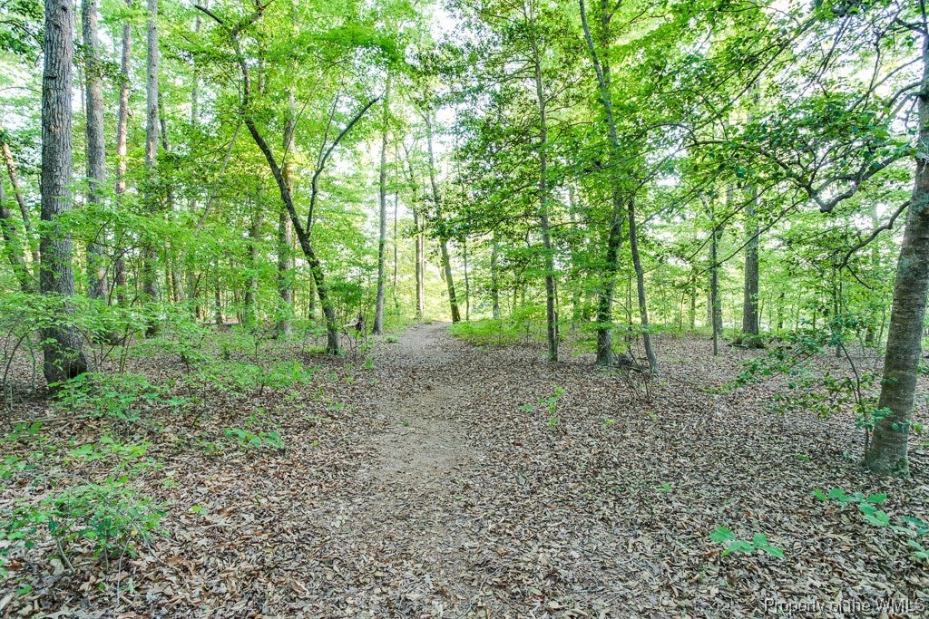3200 East Vaidens Pond Road Lanexa, VA 23089 - Photo 47 of 50 Gallery Image 47