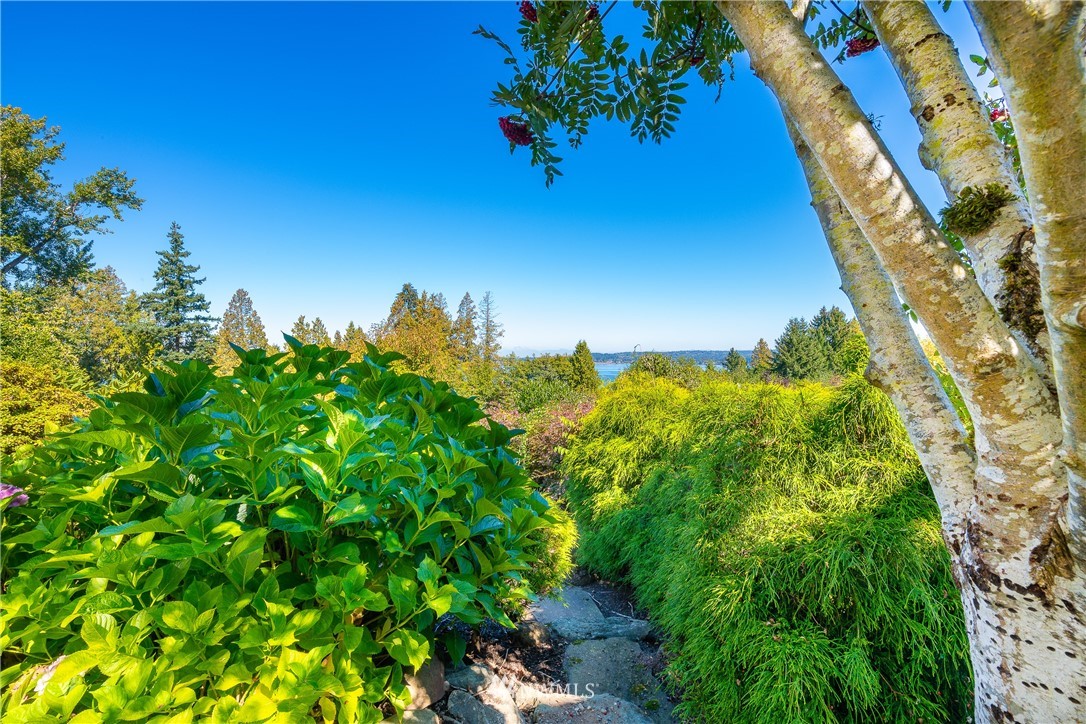 5332 Canvasback Loop Blaine, WA 98230 - Photo 39 of 40 a view of a garden