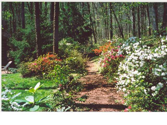 831 Roberts Mill Road Hixson, TN 37343 - Photo 4 of 6 Additional Photo