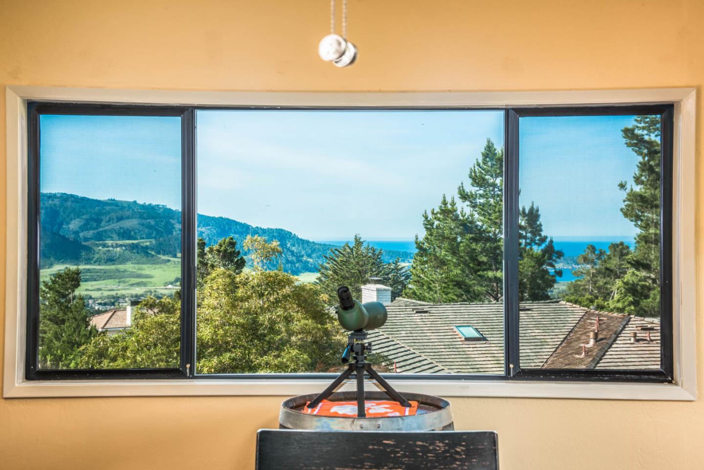 24800 Outlook Drive Carmel, CA 93923 - Photo 5 of 17 a vase of flowers sitting on a table with a window