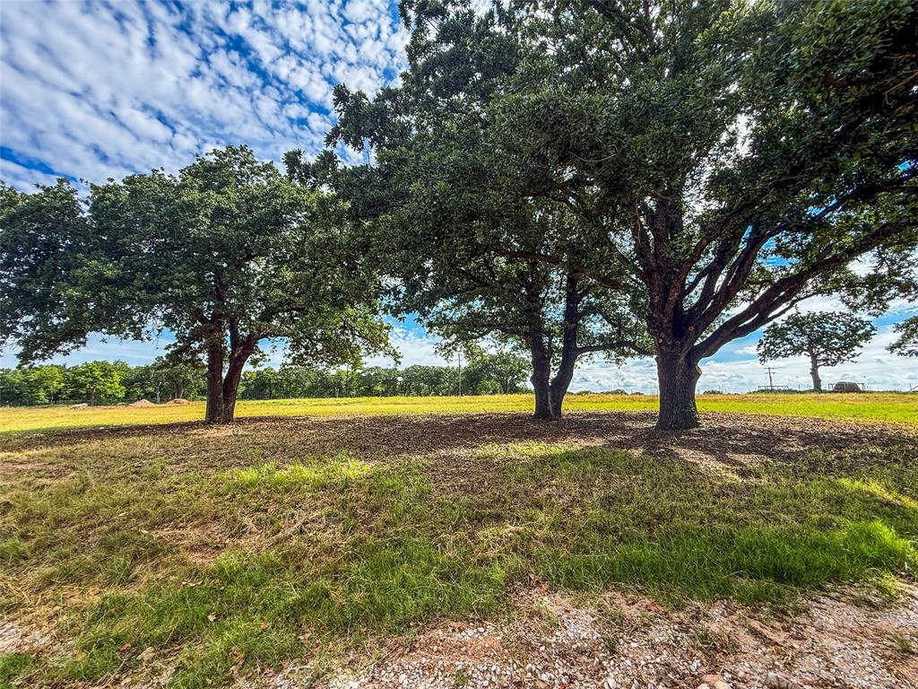 390 County Road 1475 Road Chico, TX 76431 - Photo 33 of 36