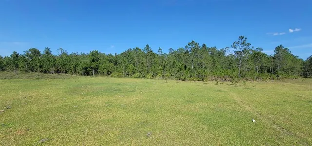 a view of a field with trees in the background