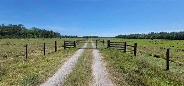 a view of lake with green space