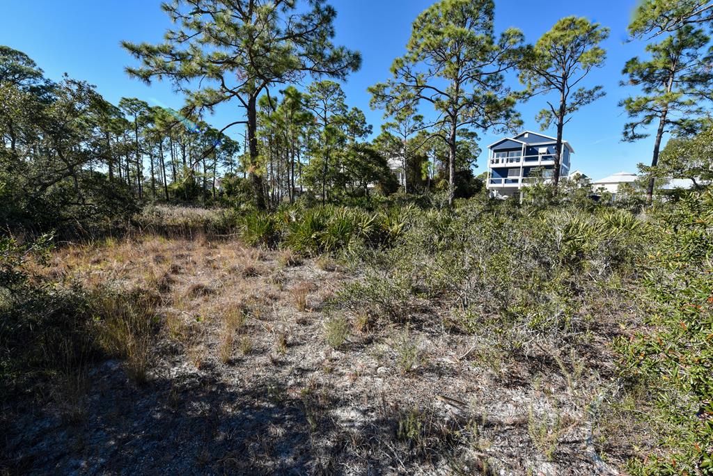 716 Randolph Street Eastpoint, FL 32328 - Photo 12 of 41