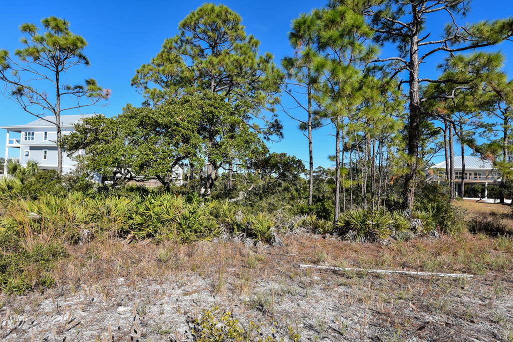 716 Randolph Street Eastpoint, FL 32328 - Photo 16 of 41
