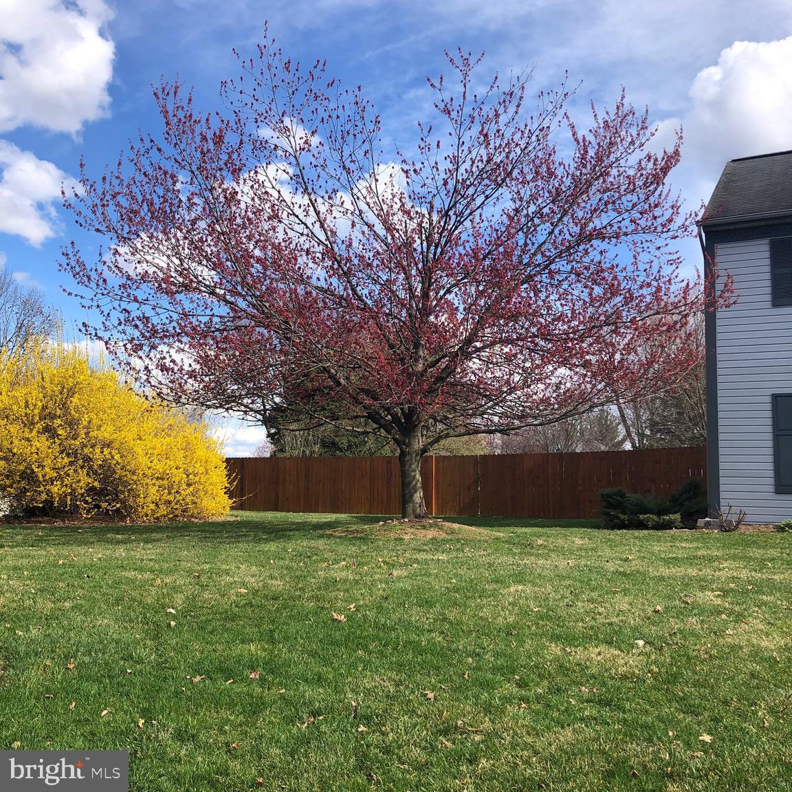 205 Andrea Drive Lititz, PA 17543 - Photo 2 of 23 front