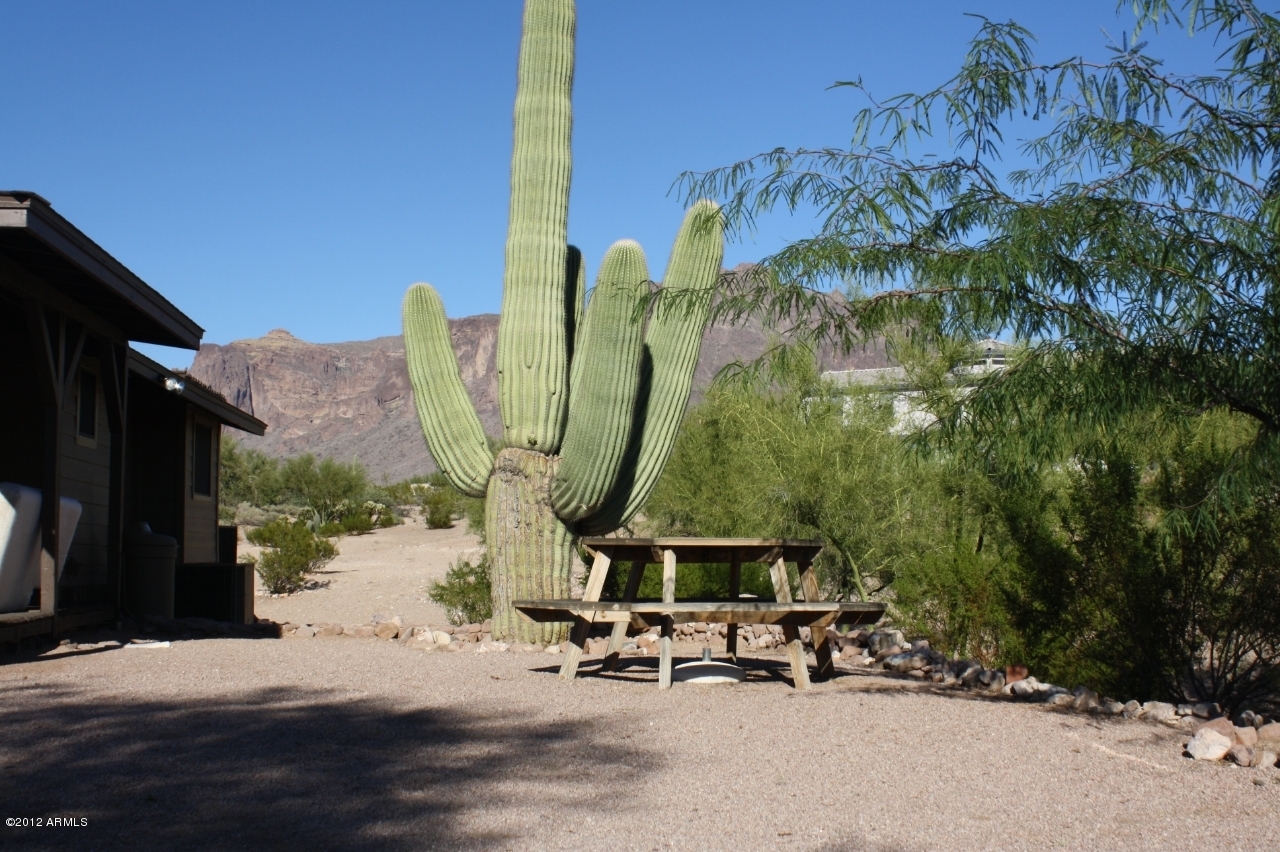 111 South Boyd Road Apache Junction, AZ 85119 - Photo 42 of 69 IMG_4780