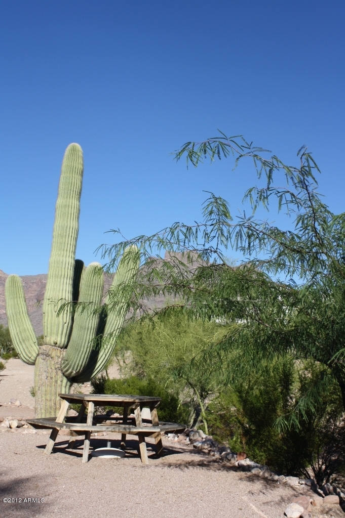 111 South Boyd Road Apache Junction, AZ 85119 - Photo 65 of 69 IMG_4777