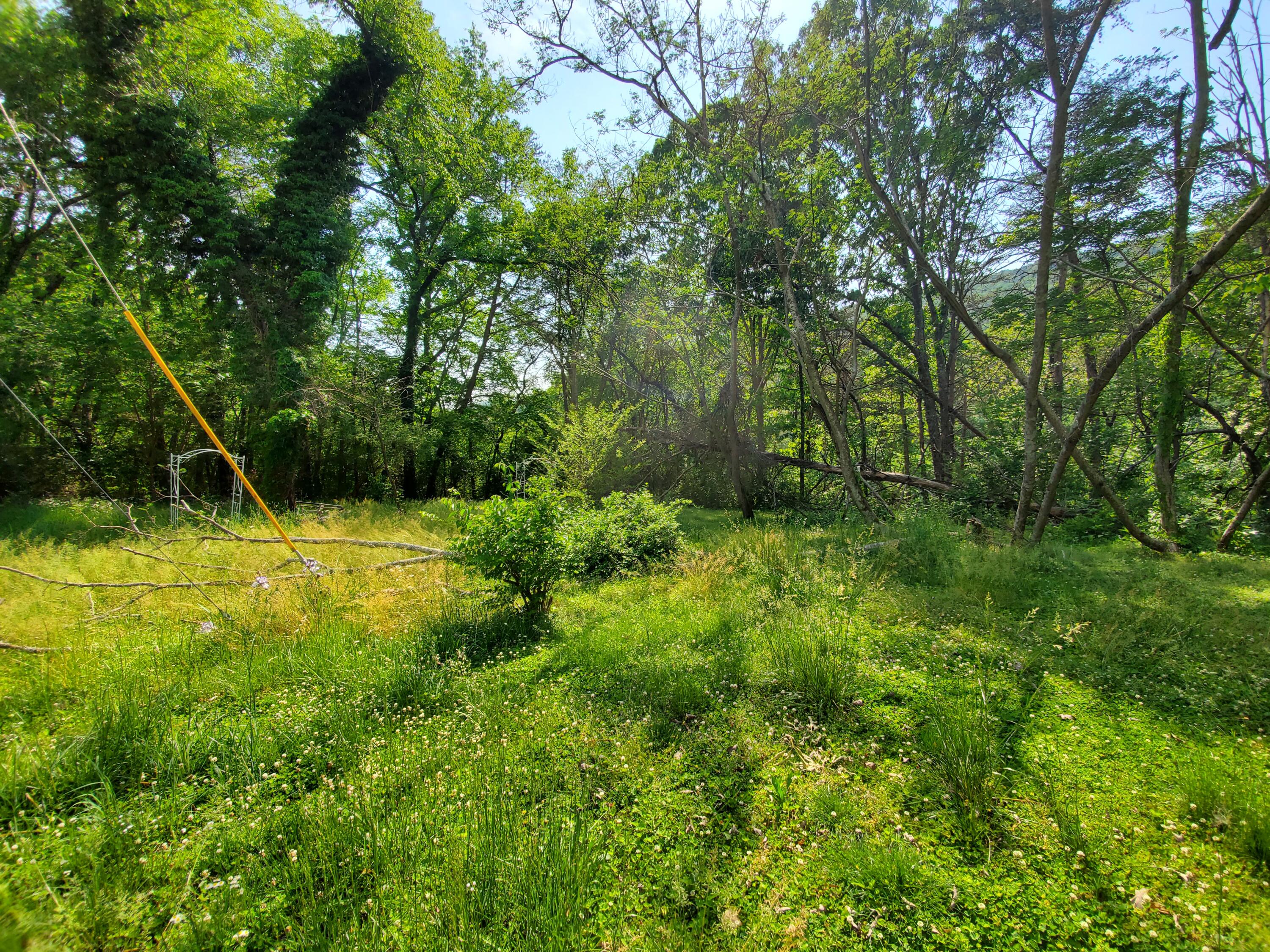 11058-62 Loop Road Soddy Daisy, TN 37379 - Photo 1 of 7 Photo 1 - South Lot