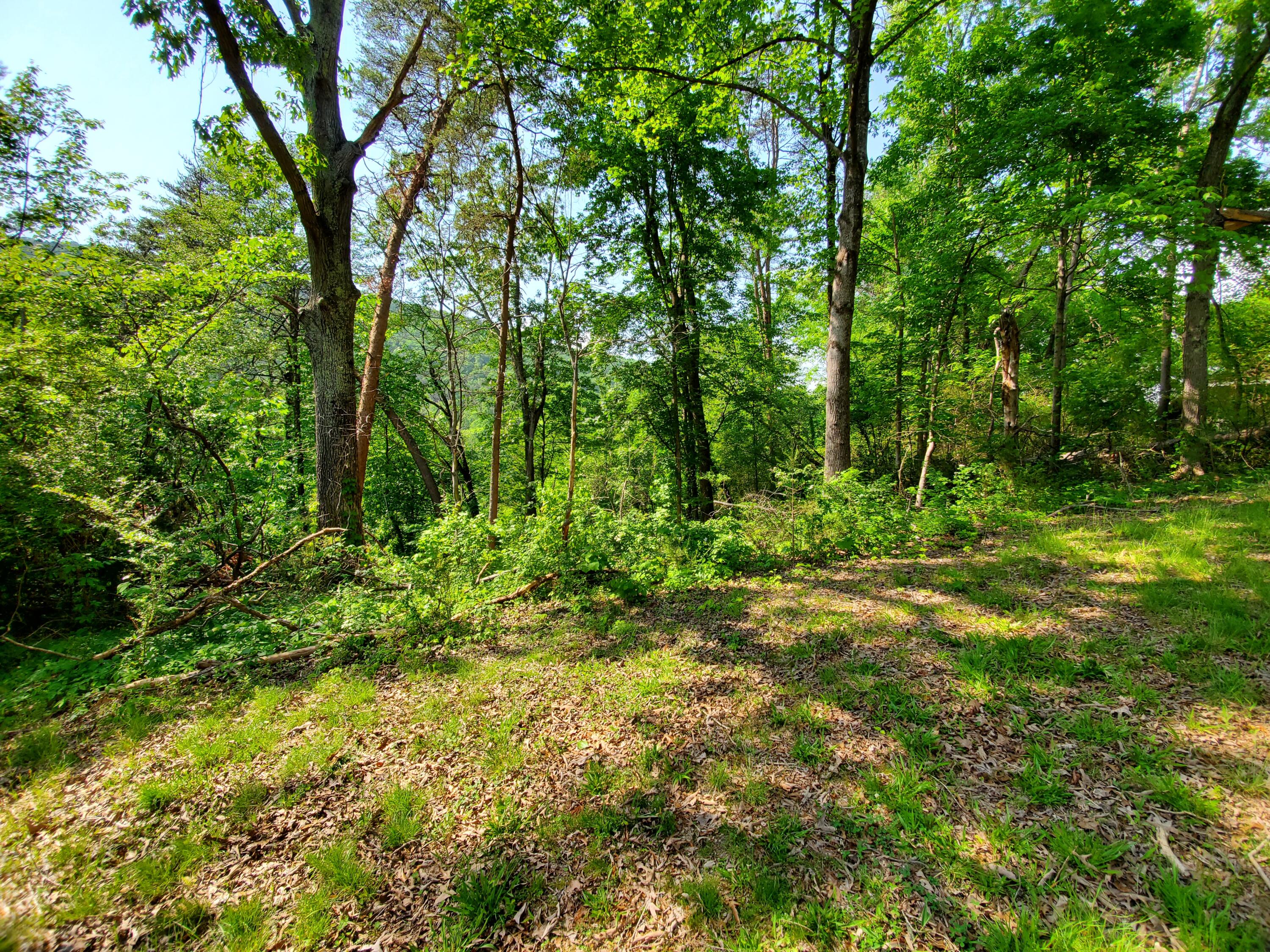 11058-62 Loop Road Soddy Daisy, TN 37379 - Photo 2 of 7 Photo 2 - North Lot