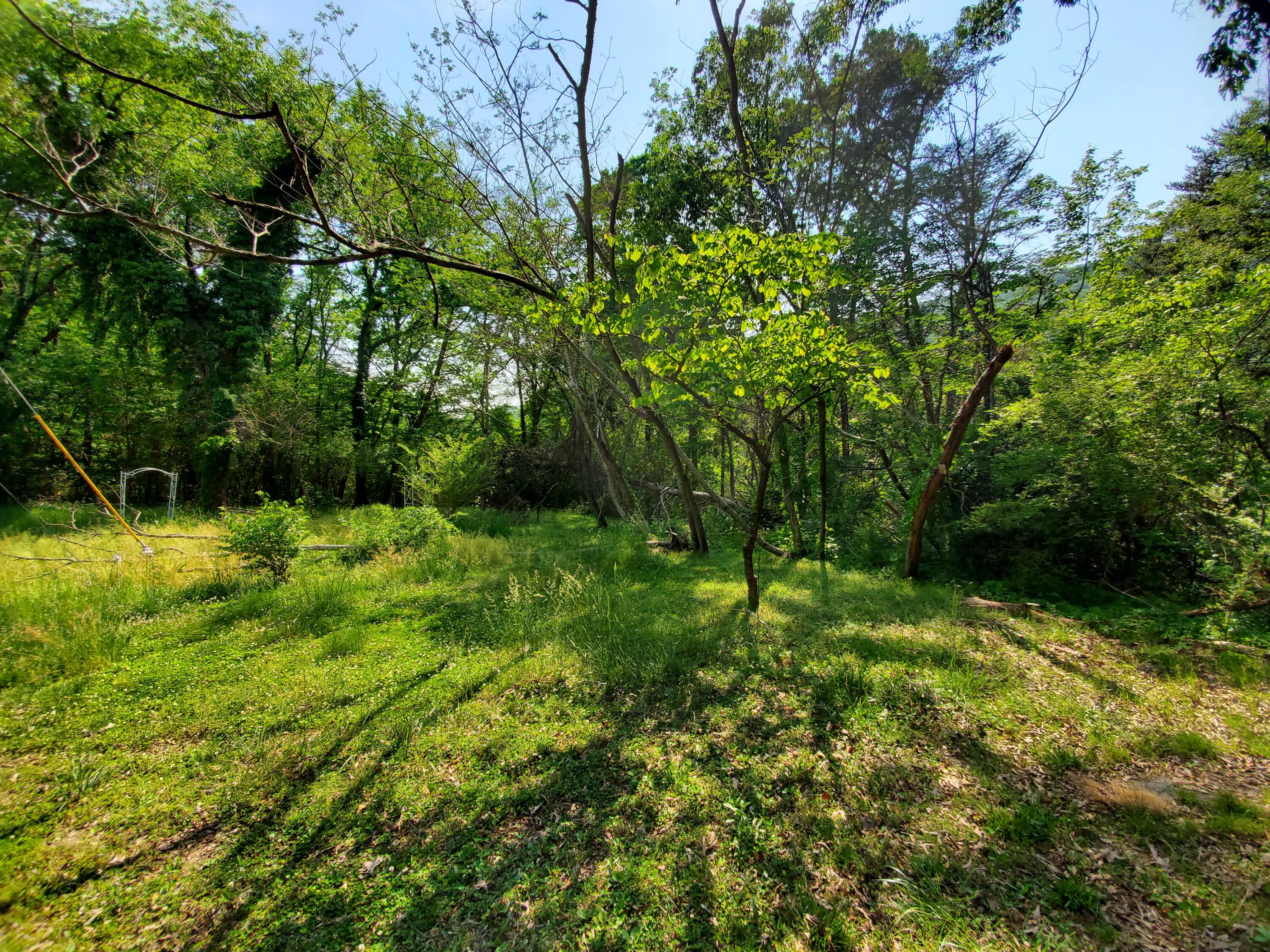 11058-62 Loop Road Soddy Daisy, TN 37379 - Photo 7 of 7 Photo 5 - South Lot
