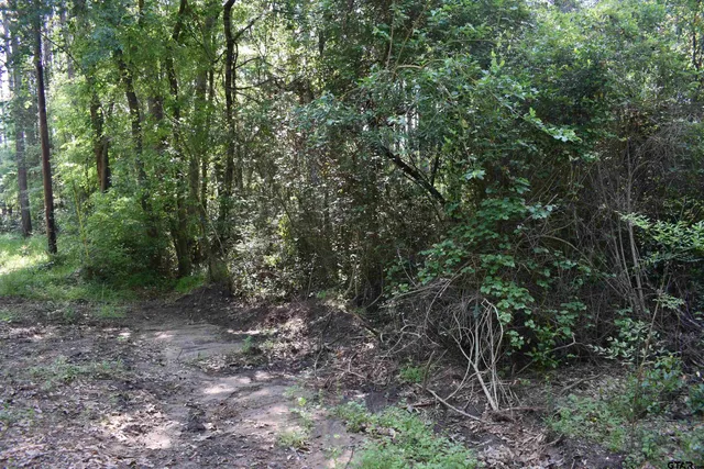 $14,900 | Tbd Lot 10 Tbd Points, Frankston, TX 75763