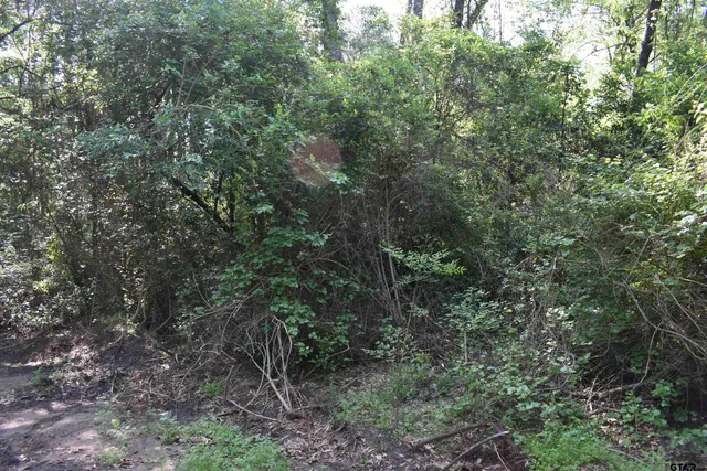 $14,900 | Tbd Lot 10 Tbd Points, Frankston, TX 75763