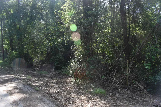 $14,900 | Tbd Lot 10 Tbd Points, Frankston, TX 75763