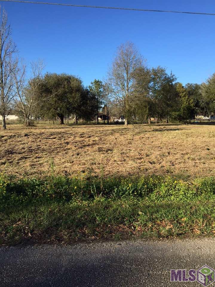0 Penny Duplessis Road St. Amant, LA 70774 - Photo 1 of 1 Gallery Image 1