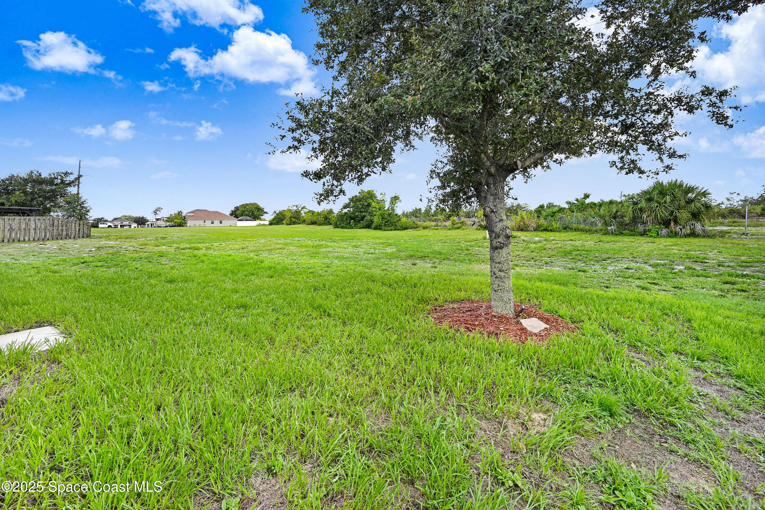 4031 Brantley Circle Rockledge, FL 32955 - Photo 21 of 41 a view of a garden with an tree