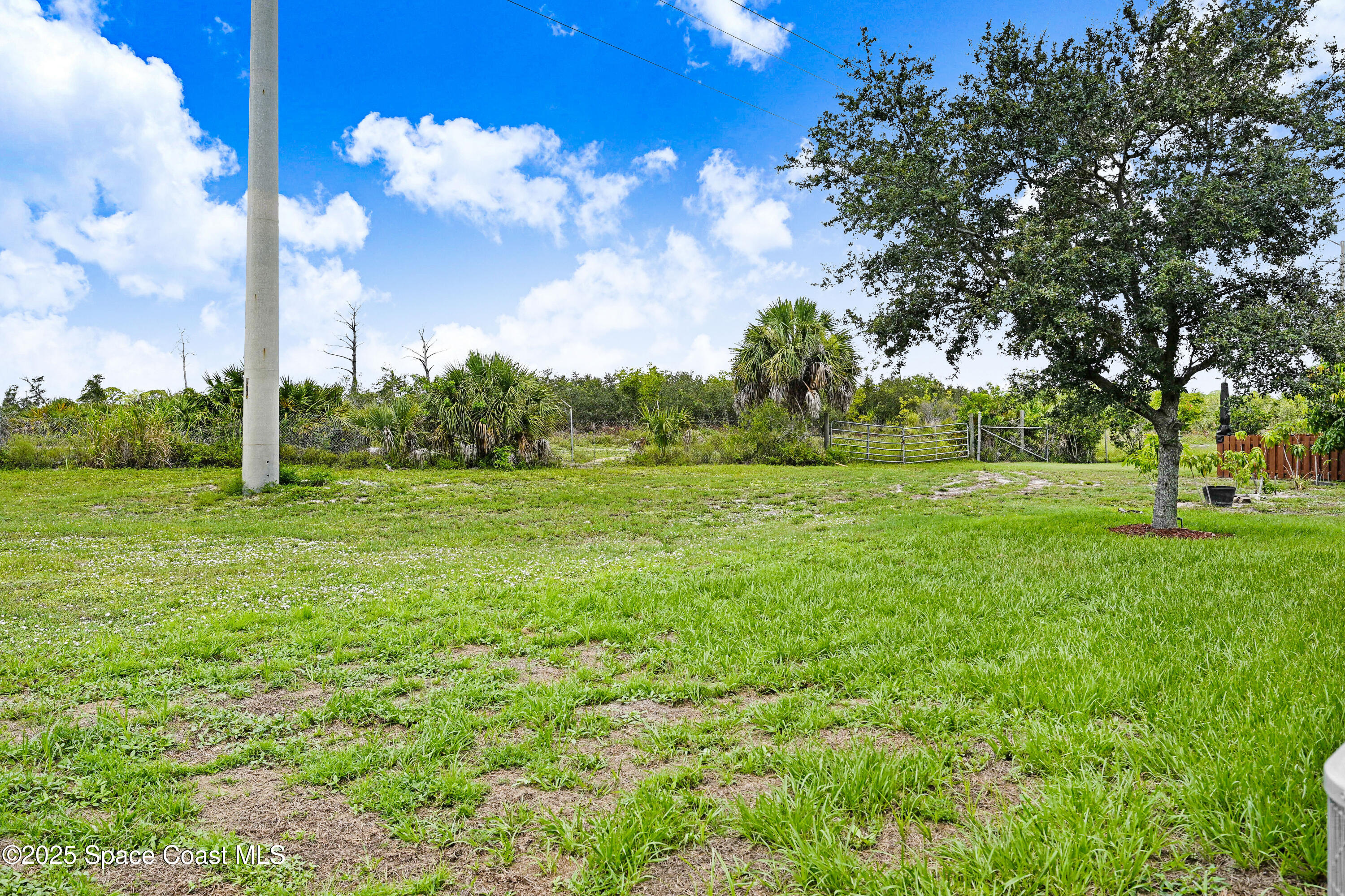 4031 Brantley Circle Rockledge, FL 32955 - Photo 24 of 41 a view of a big yard with a fountain