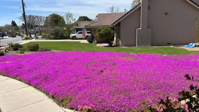 a view of yard with swimming pool and green space