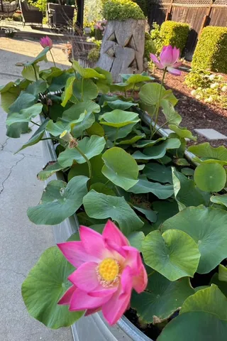 a view of a outdoor space