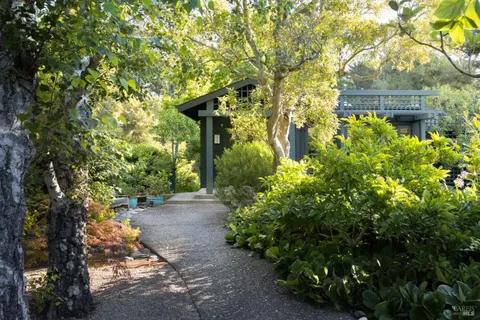a pathway of a yard