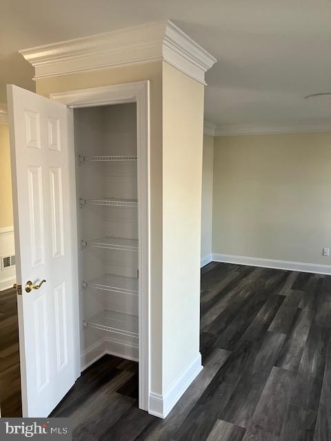 113 Heulings Avenue Riverside, NJ 08075 - Photo 21 of 50 Pantry 2