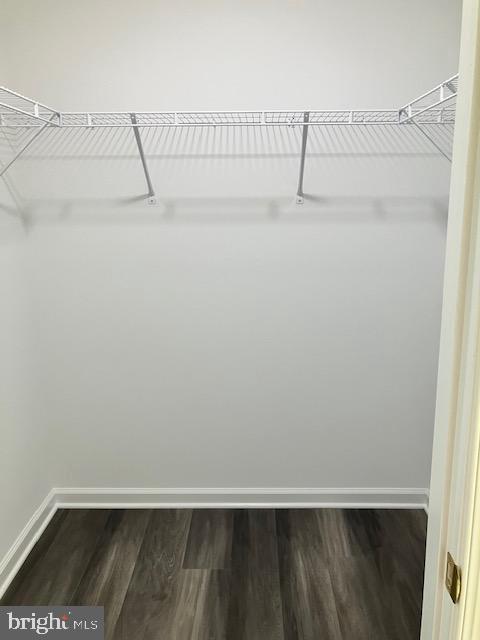 113 Heulings Avenue Riverside, NJ 08075 - Photo 39 of 50 Master Walk-In Closet