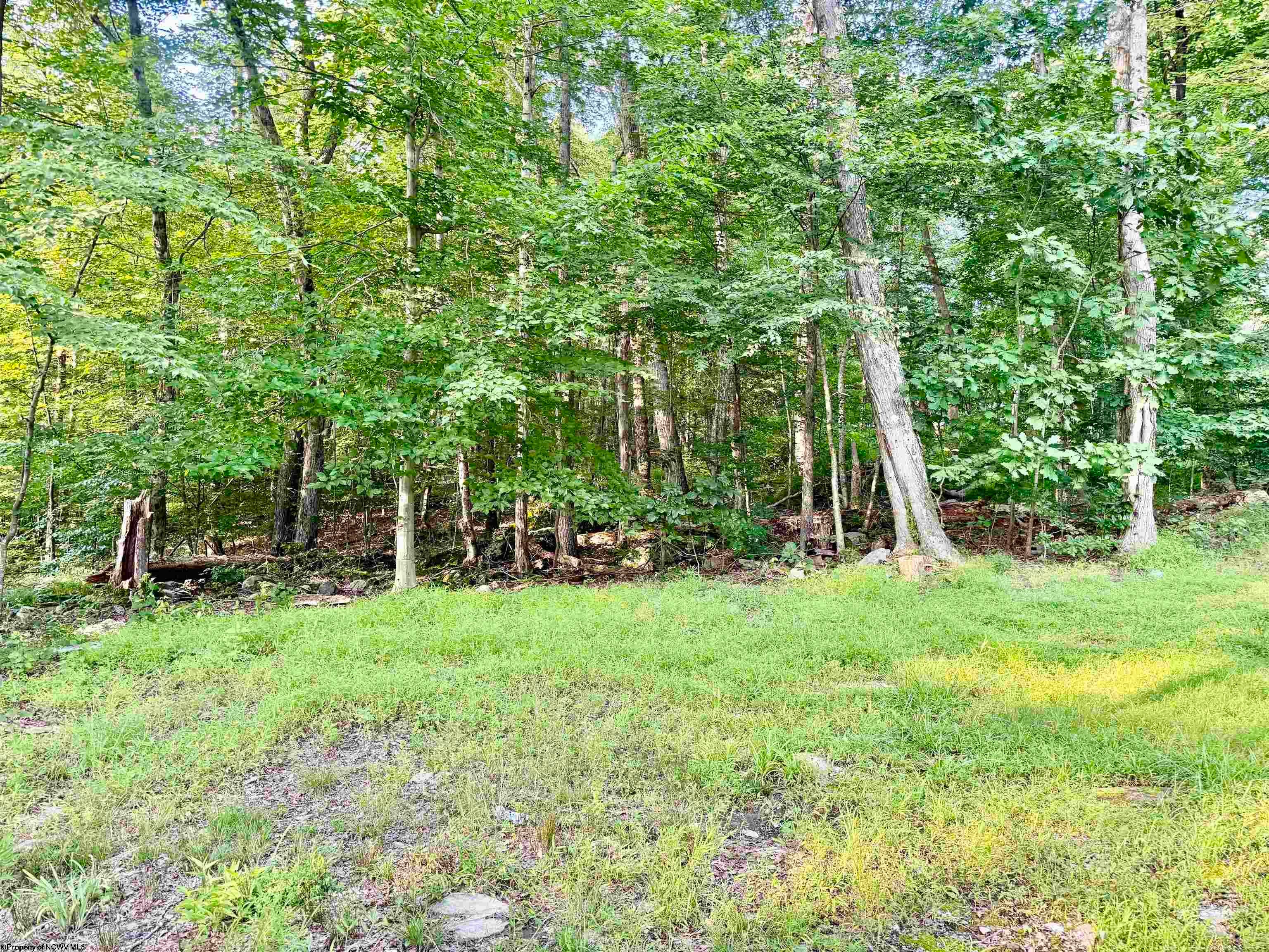 323 Long Run Road Fairmont, WV 26554 - Photo 39 of 44 Gallery Image 39