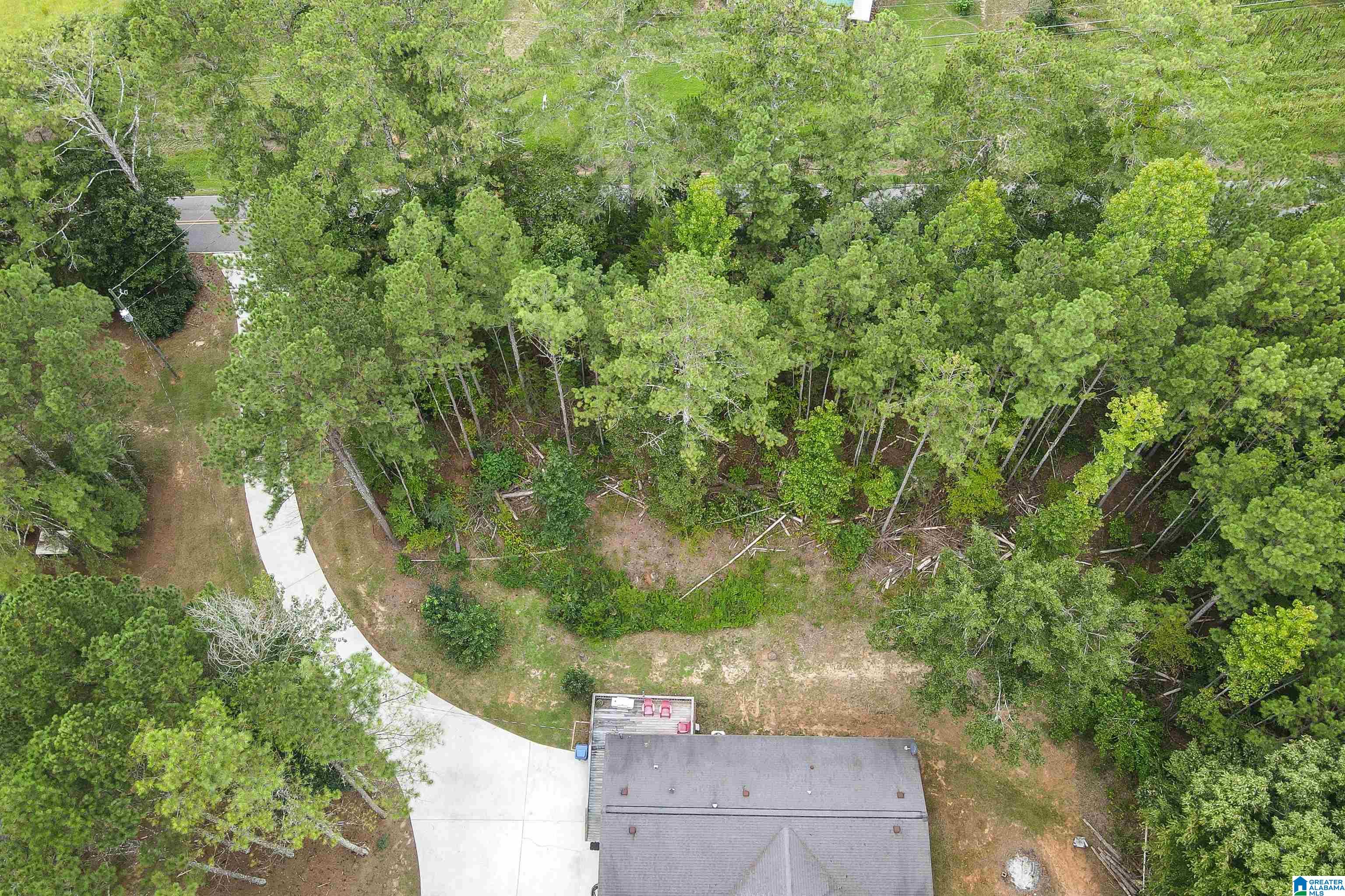 292 Hollingsworth Road Jacksonville, AL 36265 - Photo 37 of 57