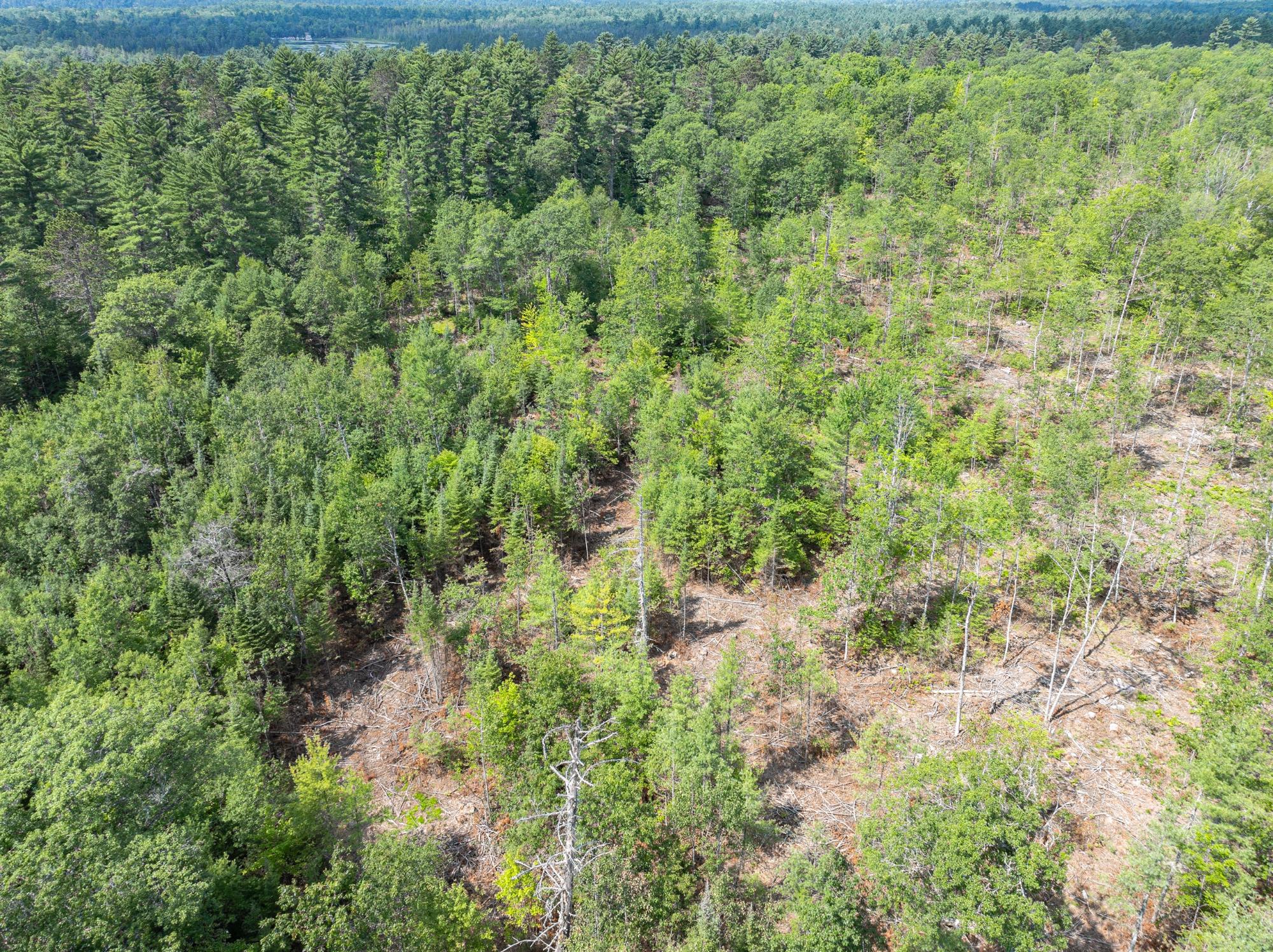 On Dam Road Eagle River, WI 54521 - Photo 84 of 86 Gallery Image 84
