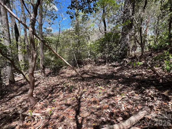 $28,500 | 99999 Summer Haven Road, Swannanoa, NC 28778