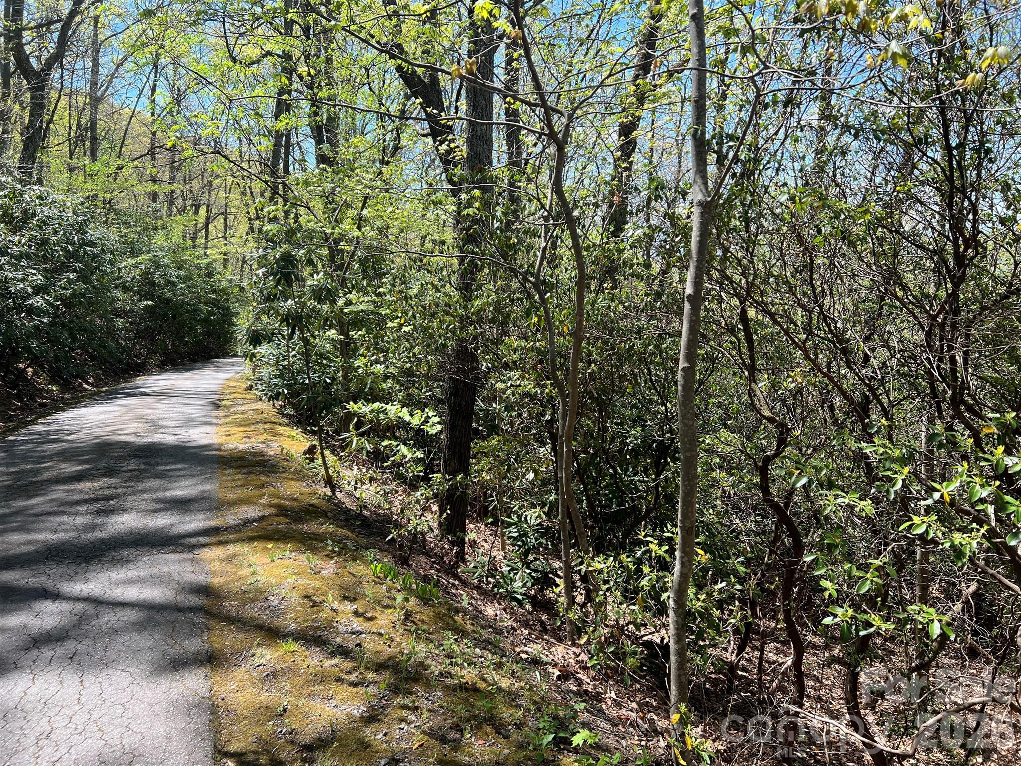 99999 Summer Haven Road Swannanoa, NC 28778 - Photo 2 of 5