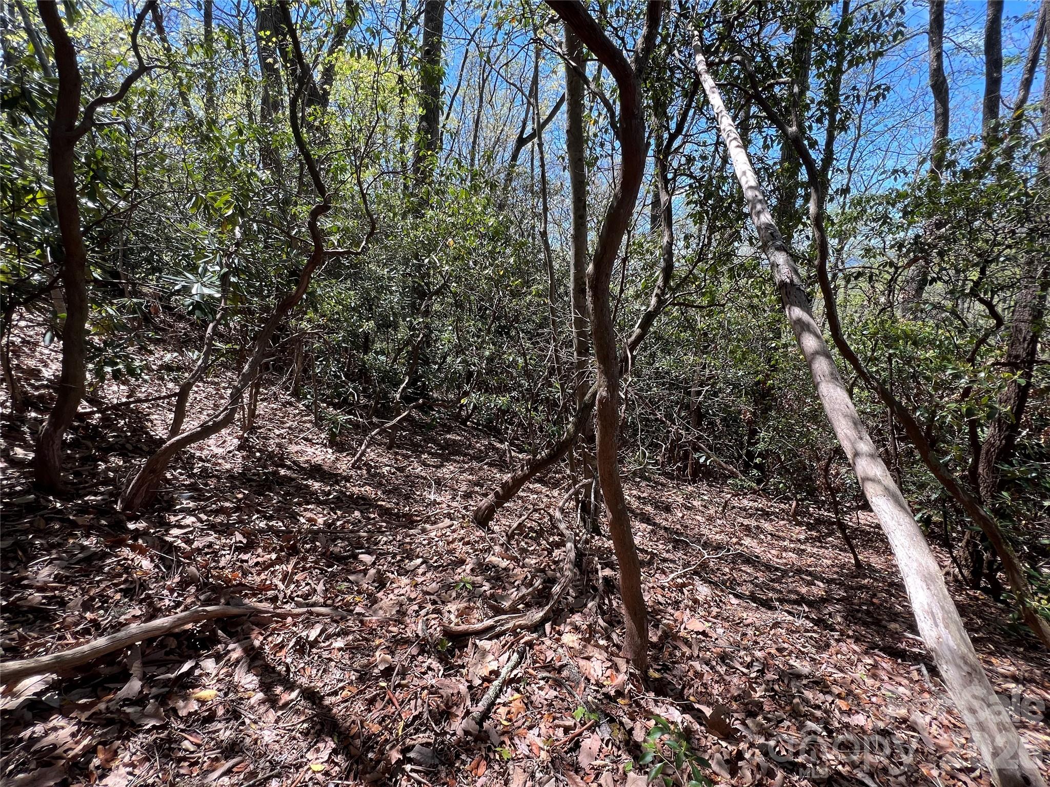 99999 Summer Haven Road Swannanoa, NC 28778 - Photo 3 of 5