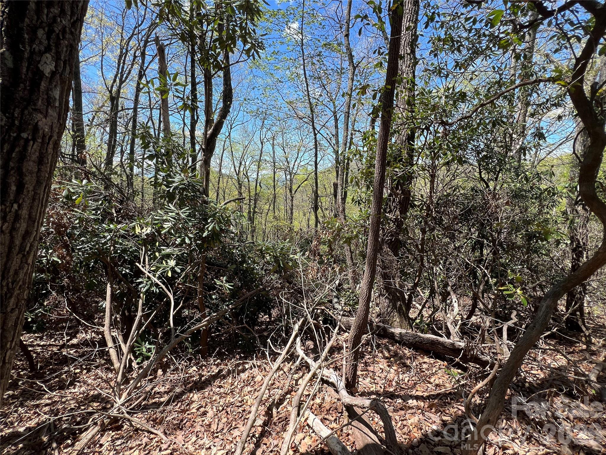 99999 Summer Haven Road Swannanoa, NC 28778 - Photo 4 of 5