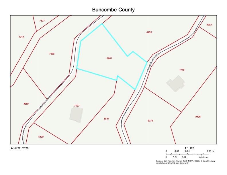 99999 Summer Haven Road Swannanoa, NC 28778 - Photo 5 of 5