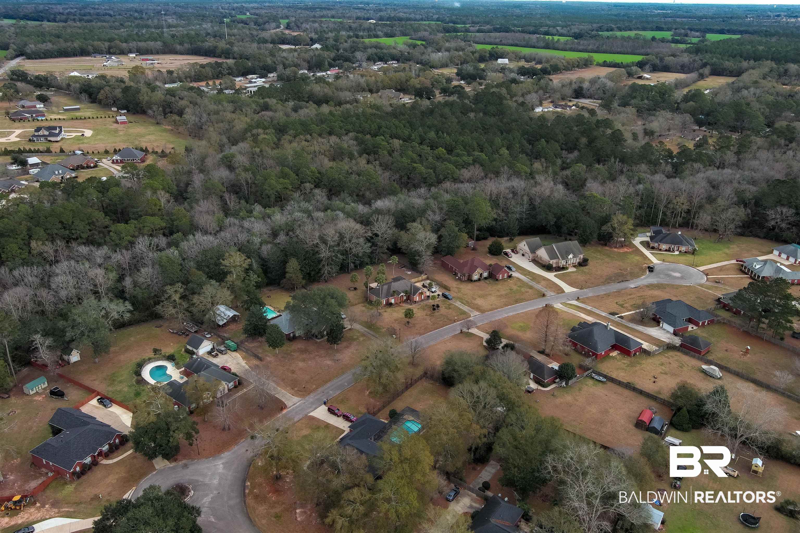 0 North Branson Drive Mobile, AL 36695 - Photo 19 of 20 Drone / aerial view