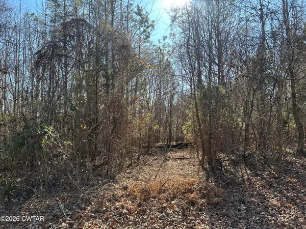 a view of backyard with green space